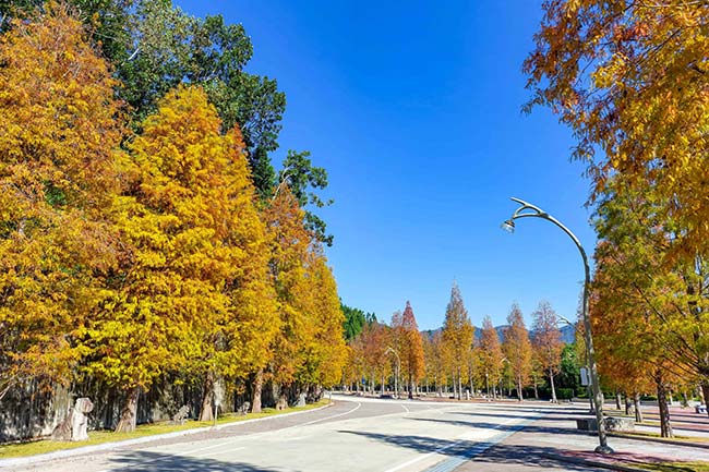 Miaojue Park