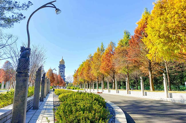 Miaojue Park