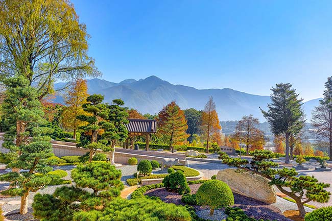 Great Luminance Garden